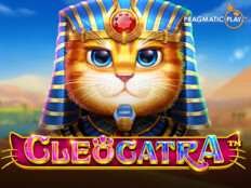 Mega casino slots95